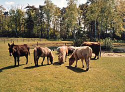 Ferienhof T&ouml;dter
